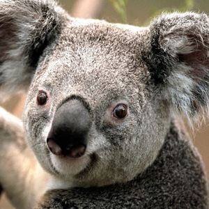 Meet your Posher, Esther